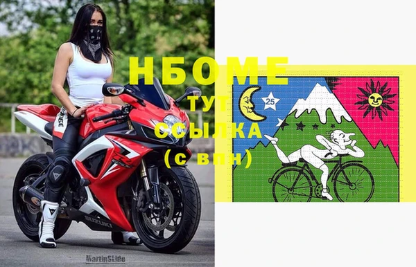 стафф Алзамай
