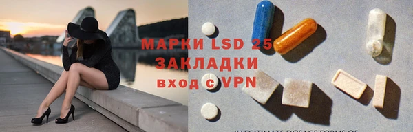 стафф Алзамай