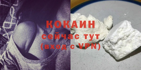 трава Пересвет