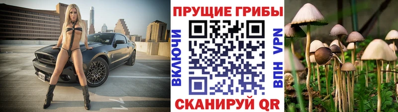 Галлюциногенные грибы мухоморы  Сураж 
